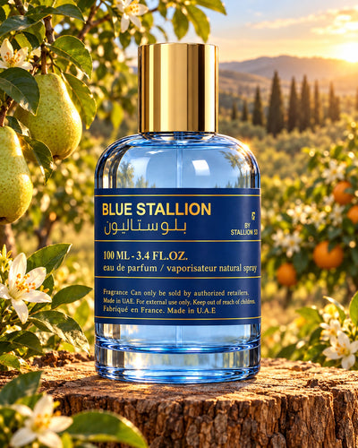 Blue Stallion Eau de Parfum de Emper – paisaje inspirado en sus notas