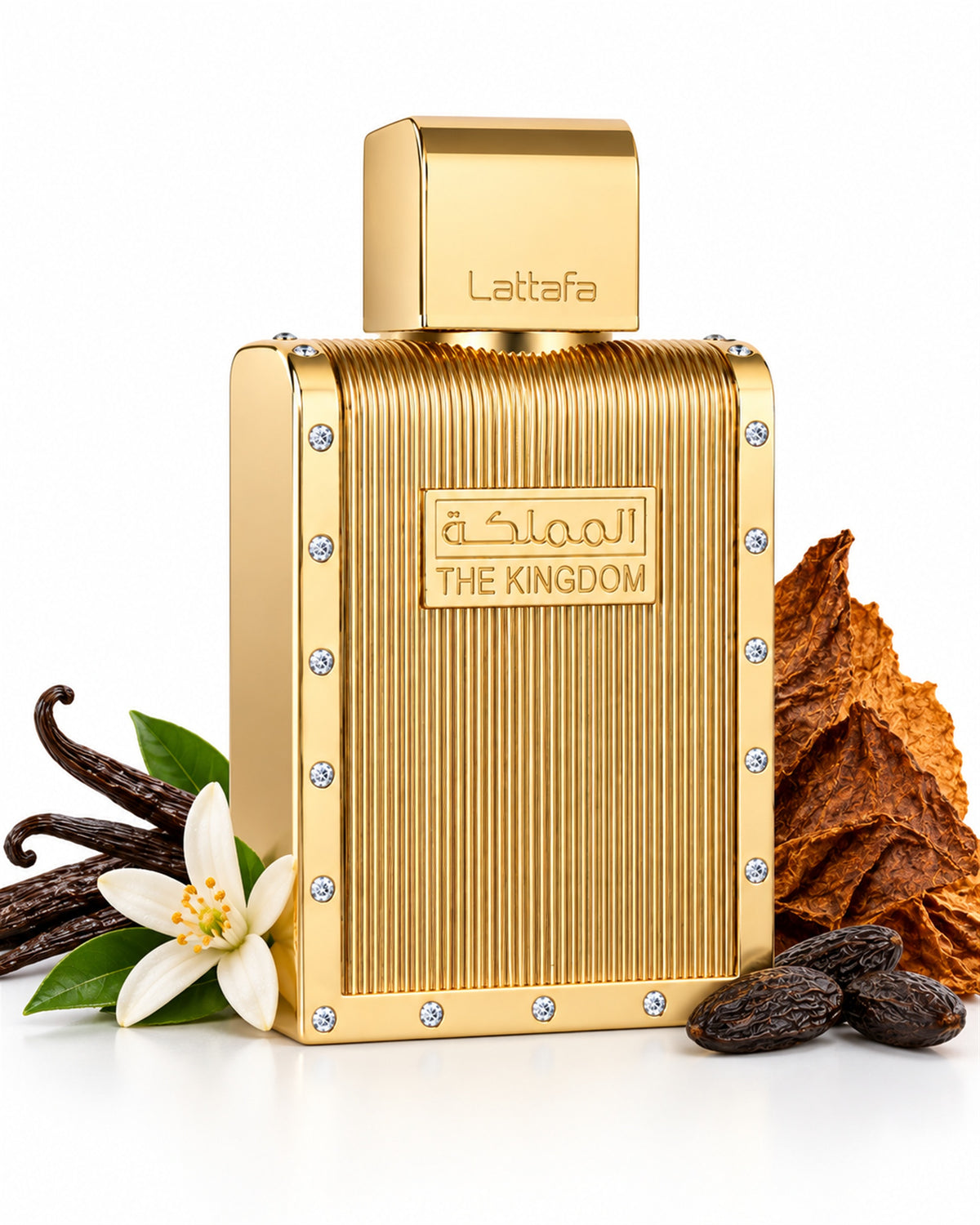 The Kingdom Men