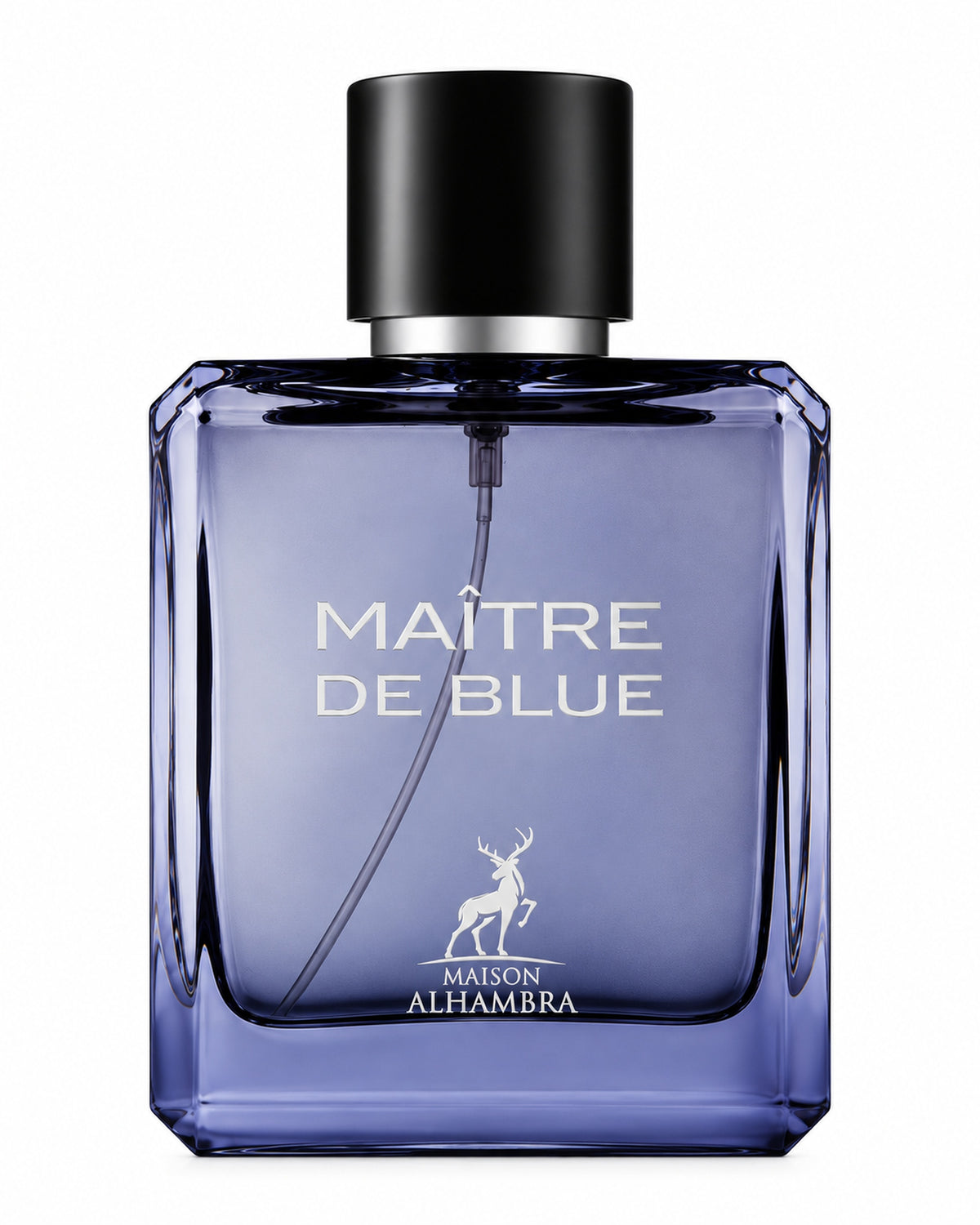Maître de Blue