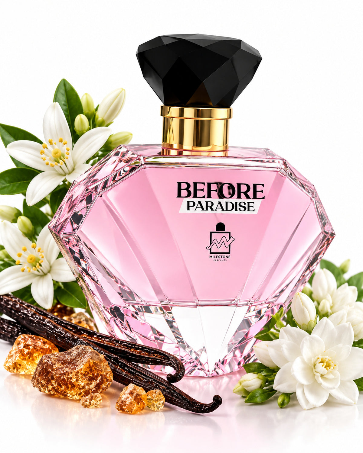 Before Paradise